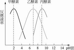 1-�ˤ�-1-��38