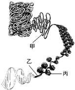 ZDB051U-B-5-1