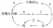 1-nk-3-17