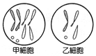 C15