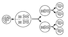 H20315A