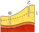 9982.BMP