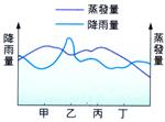 9981.BMP