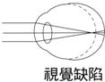 YW823A-10-5-2